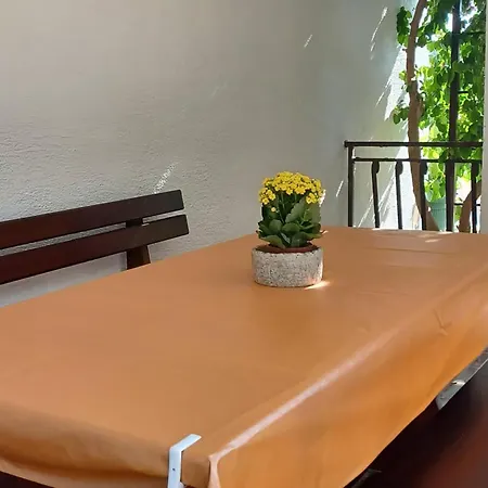 Cozy In With Wifi * Palit