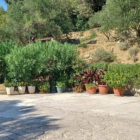 Cozy In With Wifi Palit